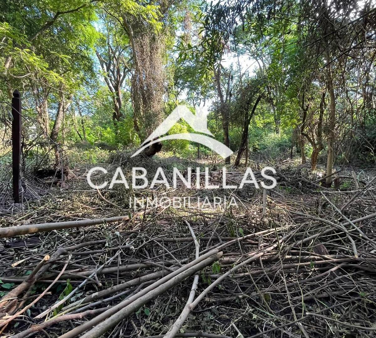 Foto de Terreno en San Lorenzo, imagen 5