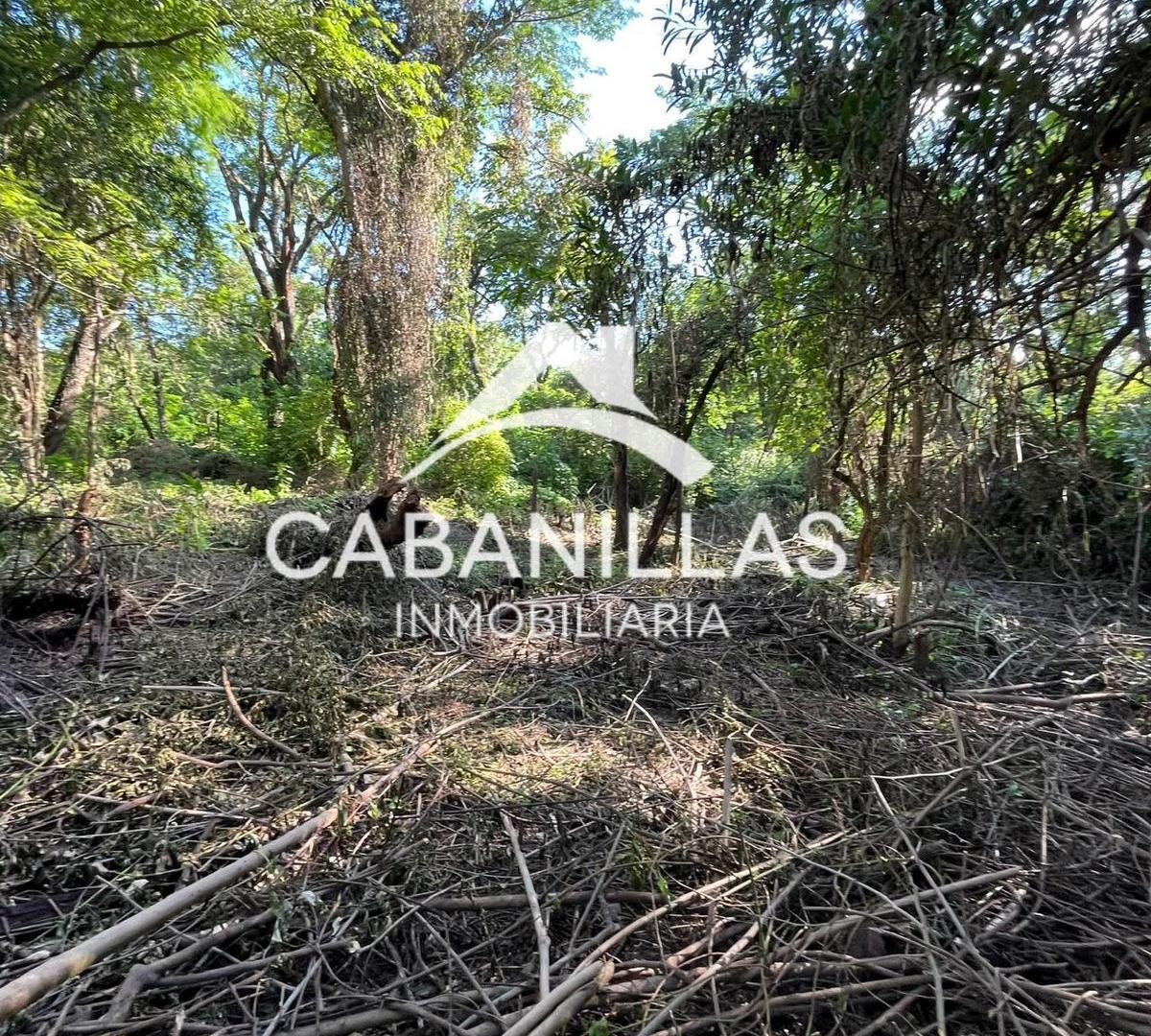 Foto de Terreno en San Lorenzo, imagen 4