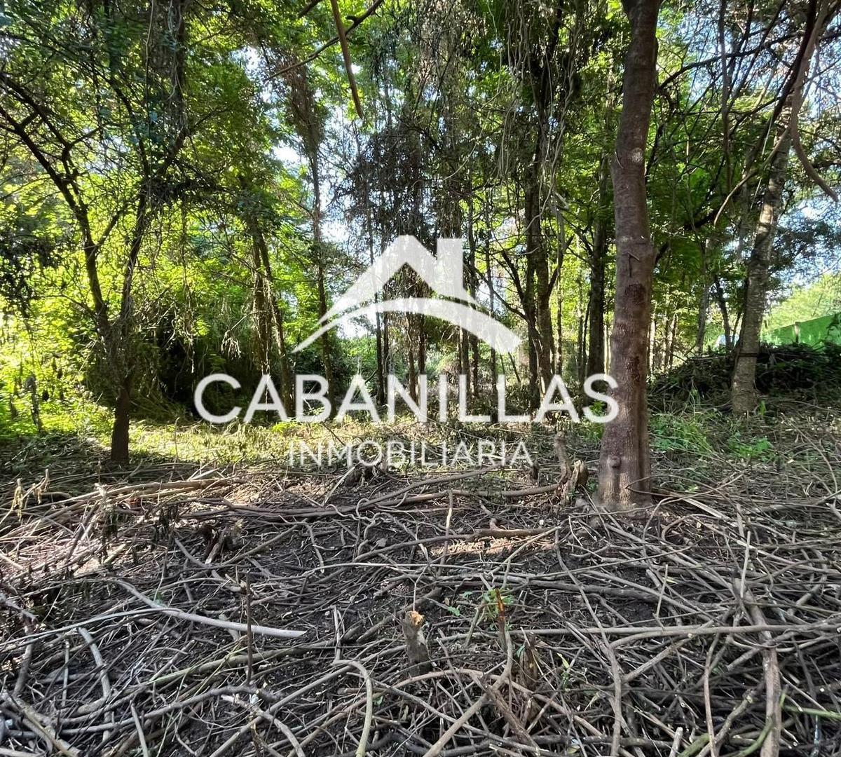 Foto de Terreno en San Lorenzo, imagen 3