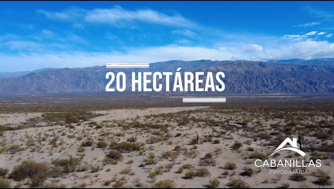 Foto de Terreno en Cafayate, imagen 5