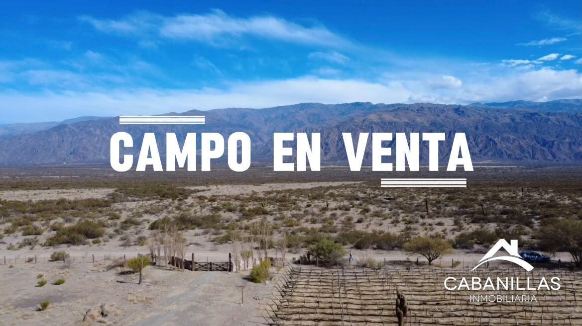 Foto de Terreno en Cafayate, imagen 3