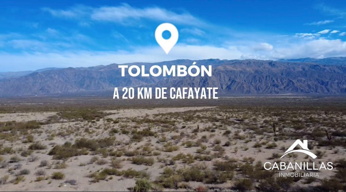 Foto de Terreno en Cafayate, imagen 4