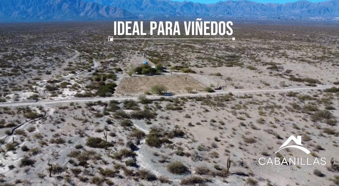 Foto de Terreno en Cafayate, imagen 1