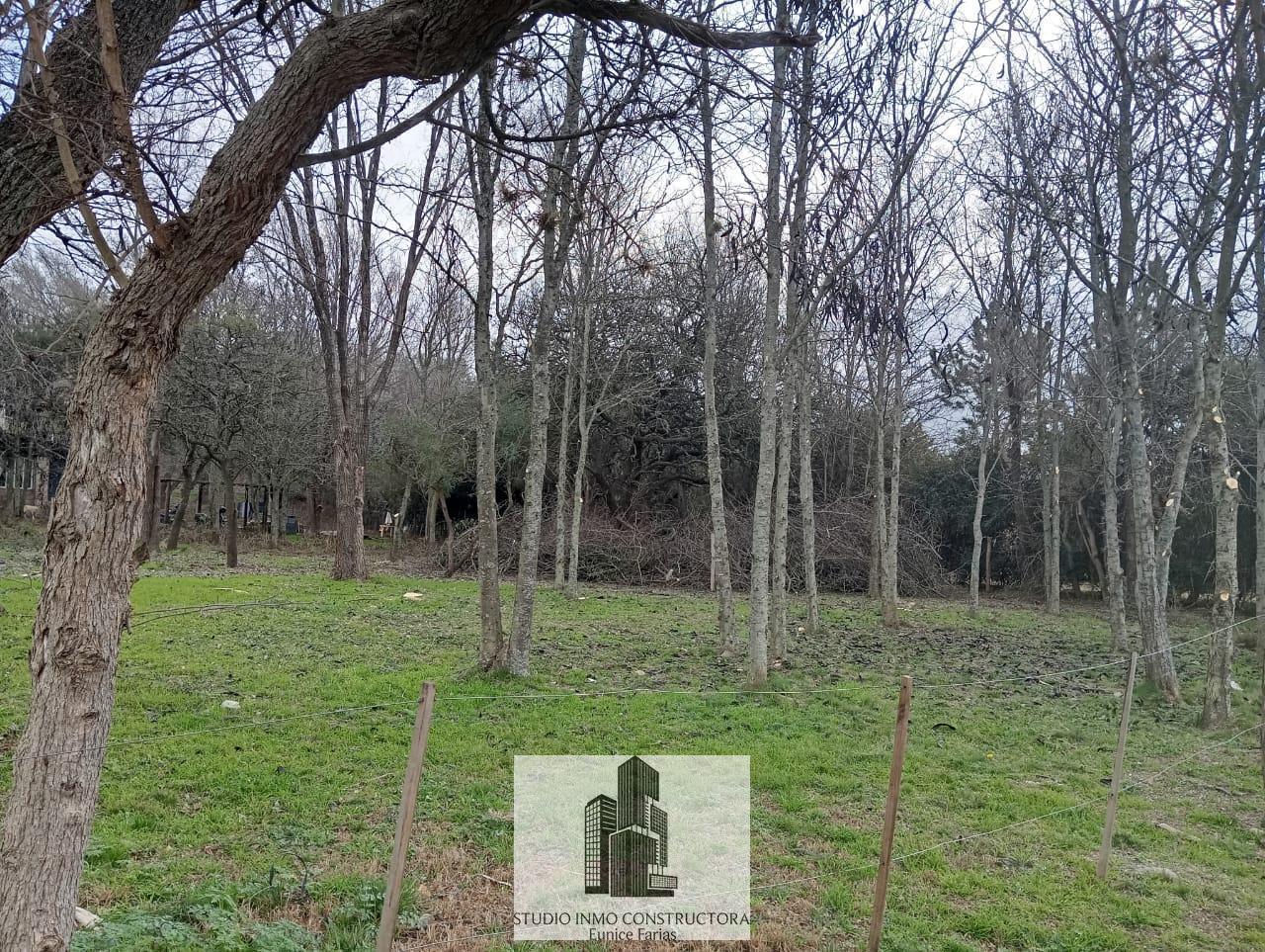 Foto de Terreno en 4 Horizontes - Villa General Belgrano, imagen 5