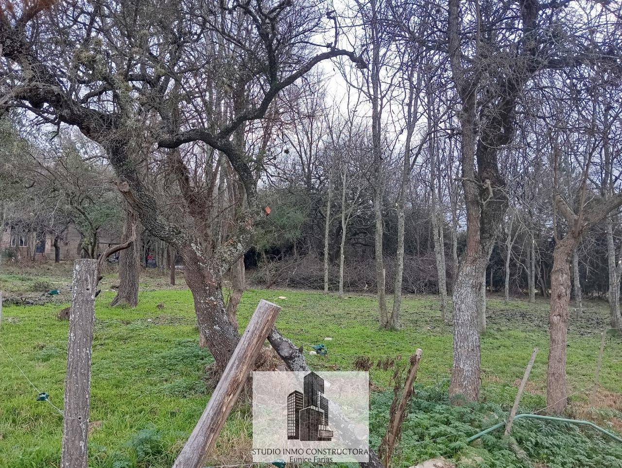 Foto de Terreno en 4 Horizontes - Villa General Belgrano, imagen 3