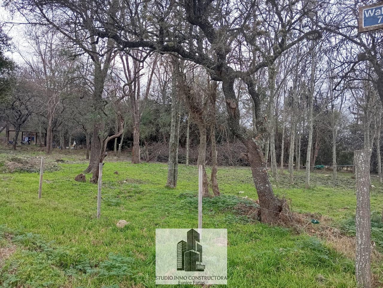 Foto de Terreno en 4 Horizontes - Villa General Belgrano, imagen 1