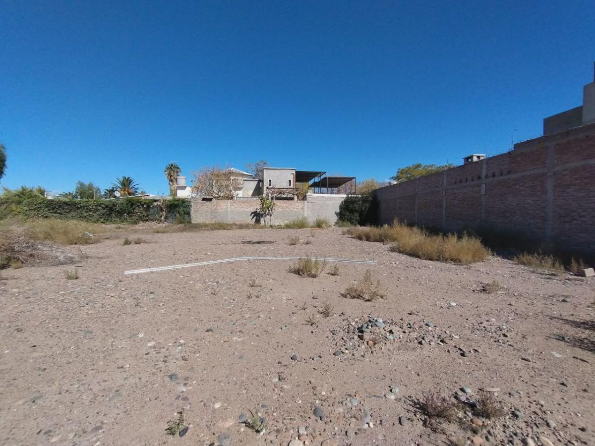 Foto de LOTE DE 310 M2 LUZURIAGA MAIPÚ, MENDOZA, imagen 2