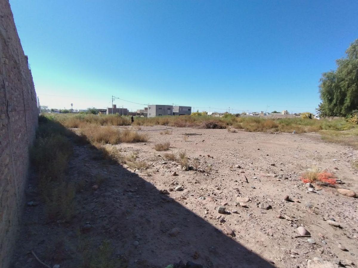 Foto de LOTE DE 310 M2 LUZURIAGA MAIPÚ, MENDOZA, imagen 1