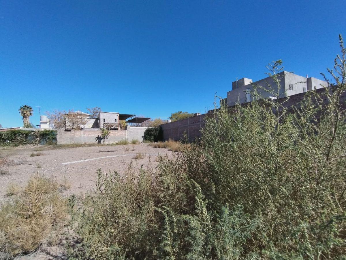 Foto de LOTE DE 310 M2 LUZURIAGA MAIPÚ, MENDOZA, imagen 3