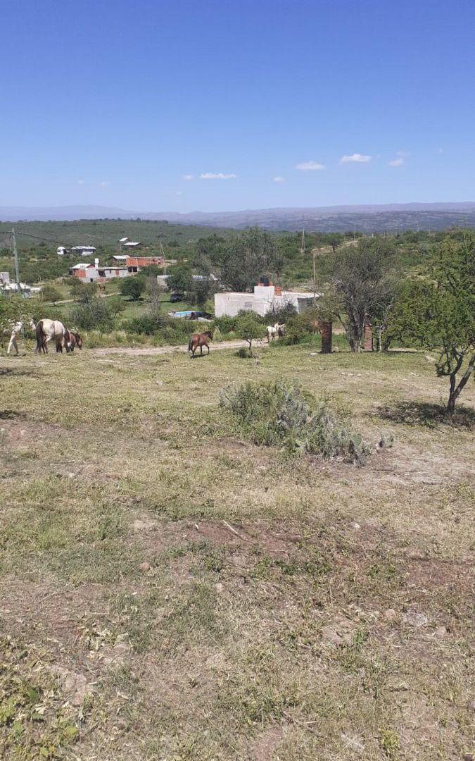 Foto de VENDO LOTE DE 808 MTS2 EN BIALET MASSE! CON ESCRITURA! U$D 10.800, imagen 2