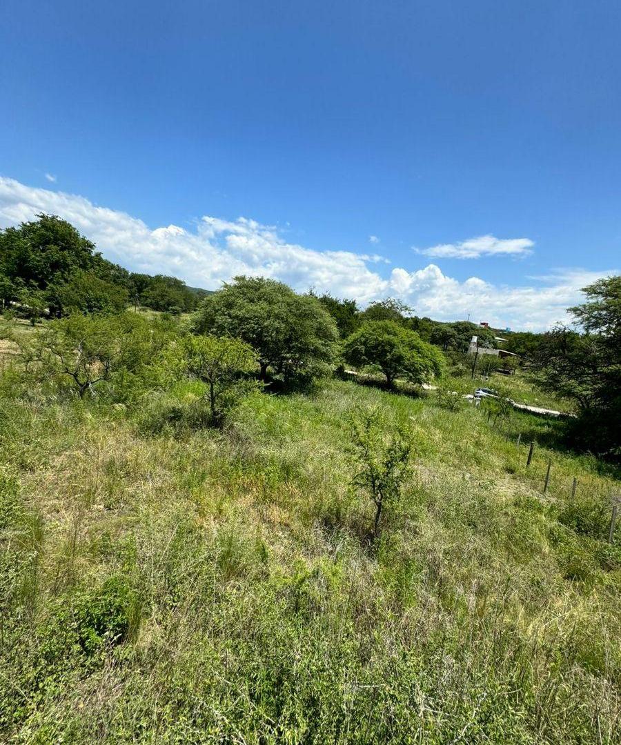 Foto de LIQUIDO! LOTE DE 958 MTS2 EN JOSE DE LA QUINTANA - SOBRE EL CAMINO A, imagen 2