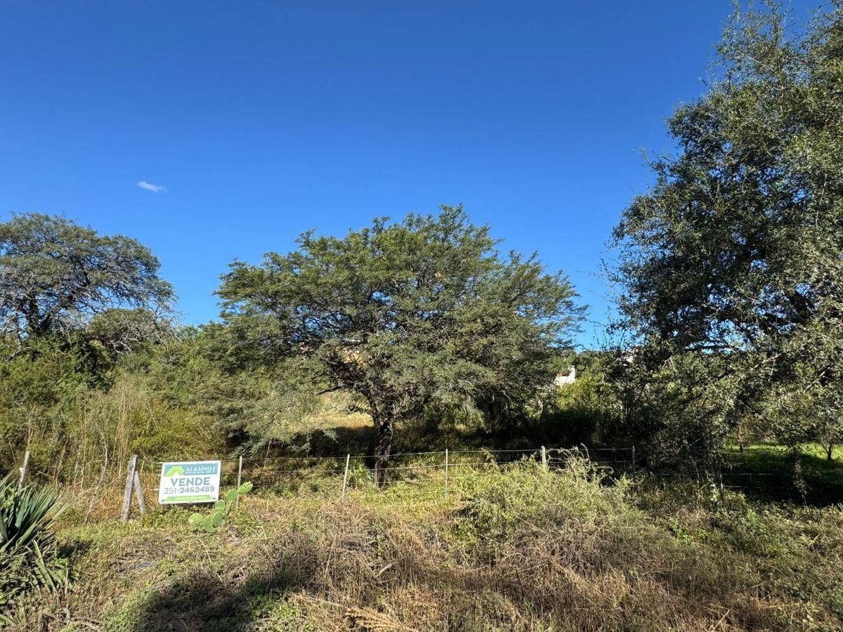 Foto de LIQUIDO! LOTE DE 958 MTS2 EN JOSE DE LA QUINTANA - SOBRE EL CAMINO A, imagen 1