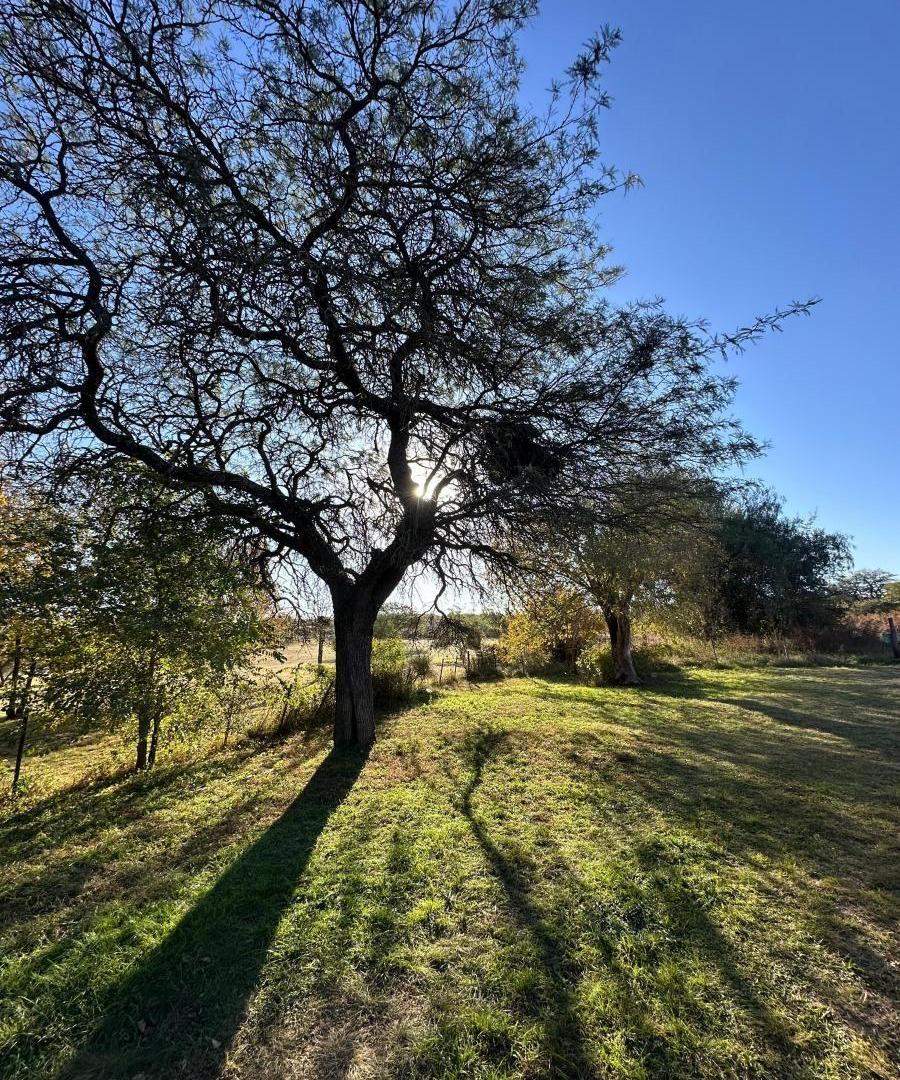 Foto de VENDO CASA DE 3 DORM. CON TERRENO DE 4000 M²! GAS NATURAL Y ESCRITURA!, imagen 2