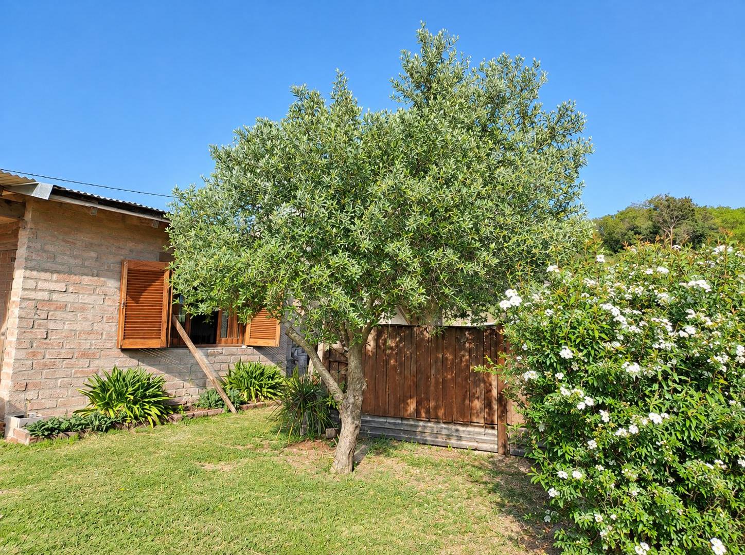 Foto de OFERTA ESPECIAL | 900 m² sobre Ruta E53 + Casa, imagen 2