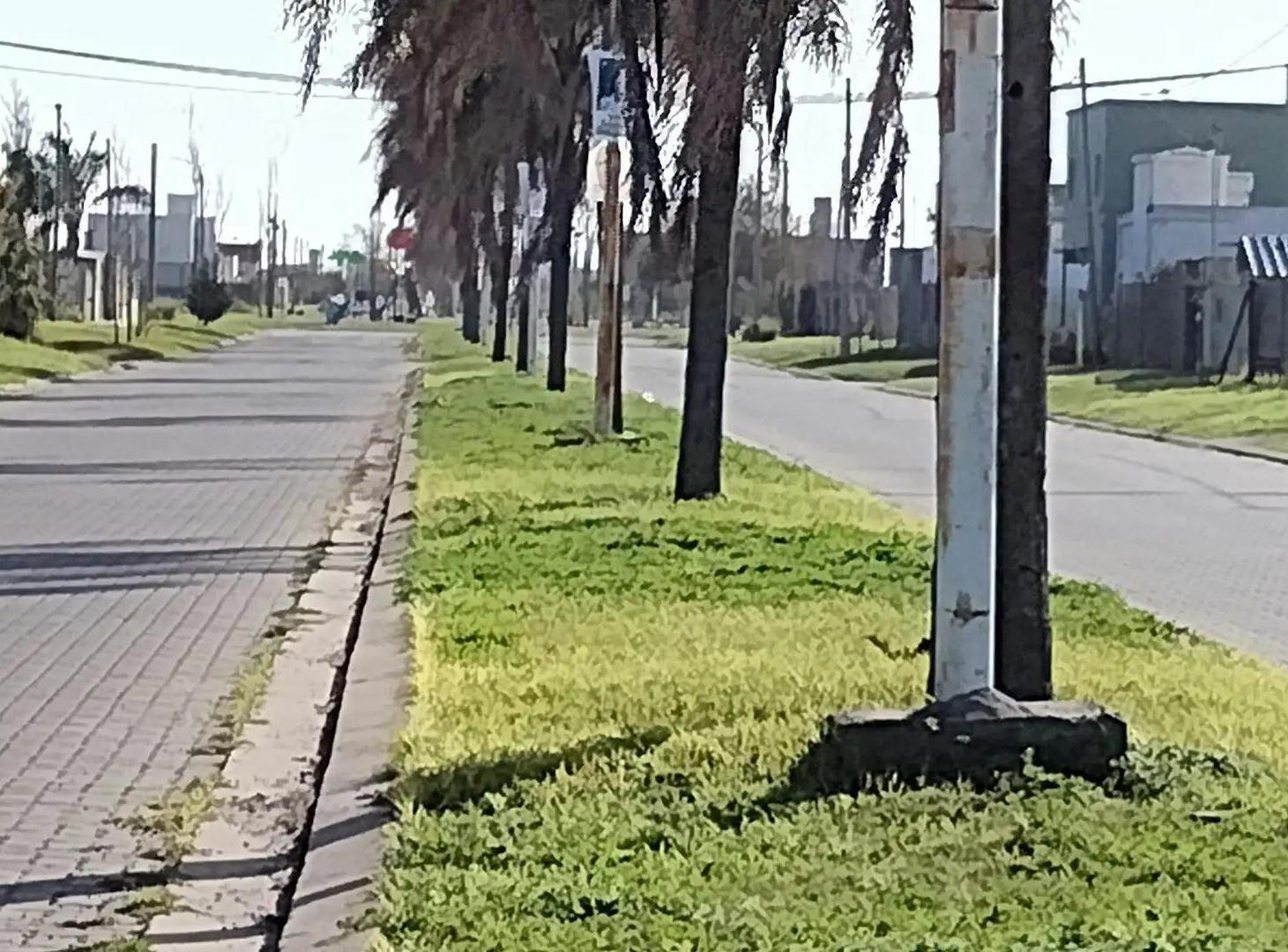 Foto de Oportunidad 2 lotes en pleno corazon de Roldan ( 600m2 ) A, imagen 2