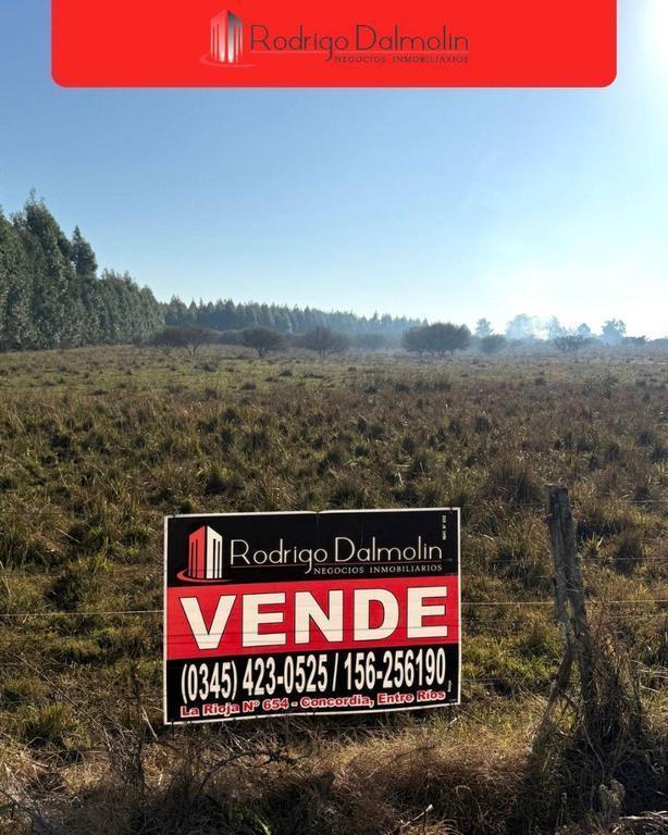 Foto de Campo en venta Ruta 14, Concordia (Entre Ríos), imagen 1