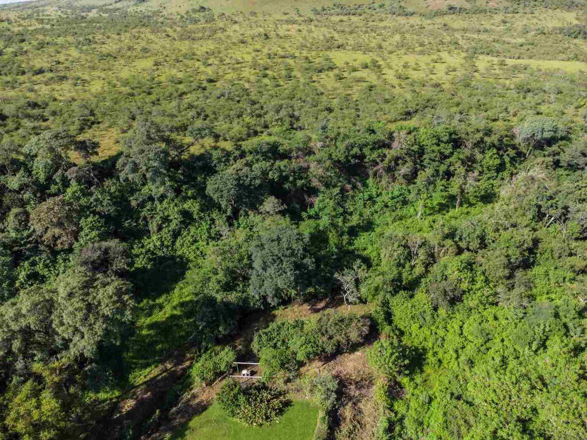 Foto de TERRENO VENTA SAN LORENZO 1894m2, imagen 1