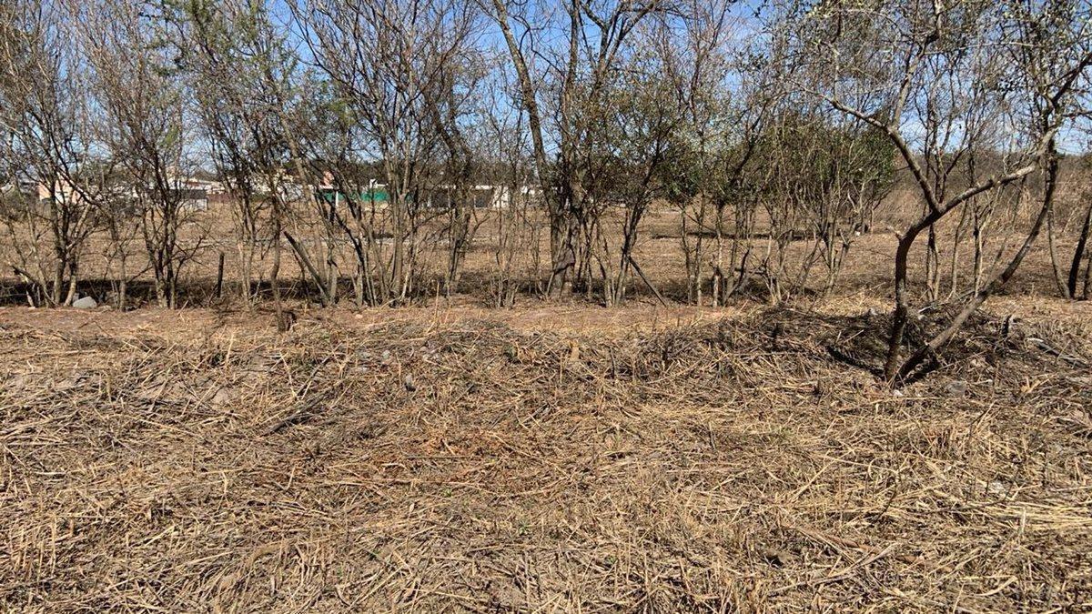 Foto de TERRENO VENTA CAMPO QUIJANO KM 16.5 5000M2, imagen 2