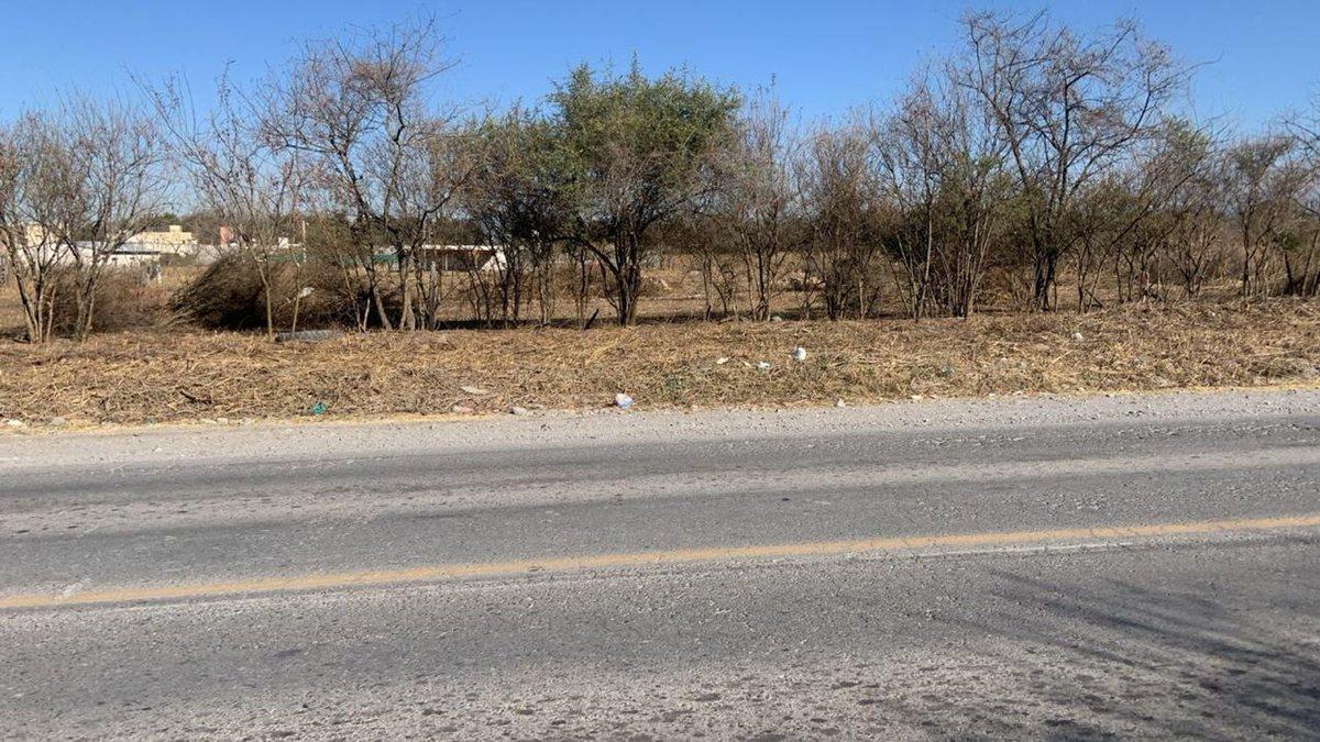 Foto de TERRENO VENTA CAMPO QUIJANO KM 16.5 5000M2, imagen 3