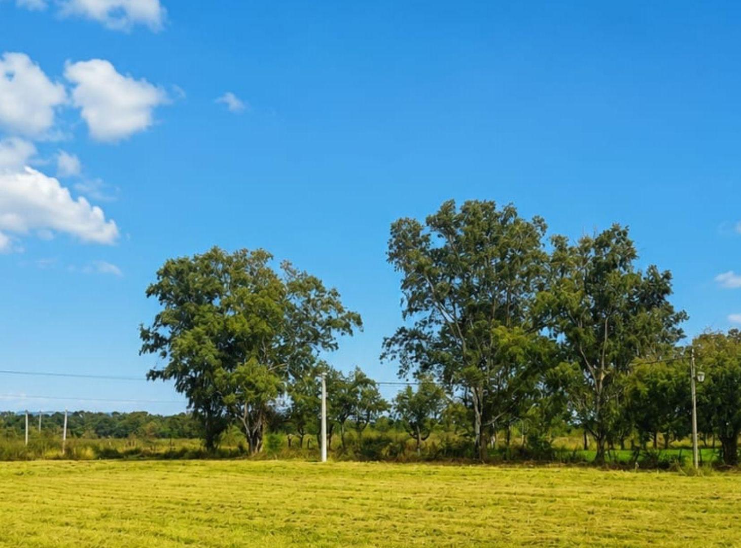 Foto de TERRENO EN VENTA RETOÑOS DE COLON RUTA 24 600M2, imagen 4