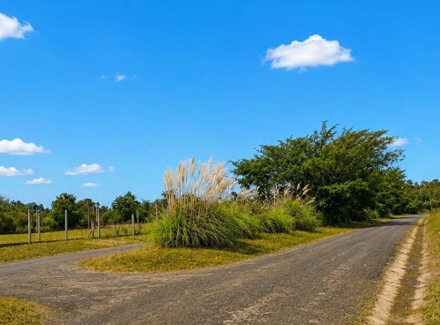 Foto de TERRENO EN VENTA RETOÑOS DE COLON RUTA 24 600M2, imagen 3