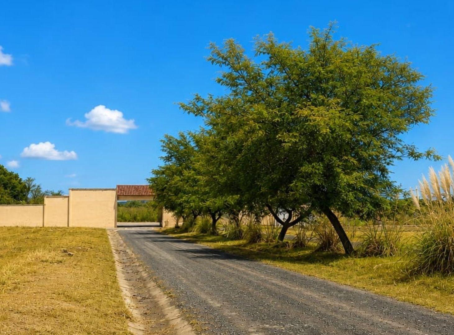 Foto de TERRENO EN VENTA RETOÑOS DE COLON RUTA 24 600M2, imagen 2