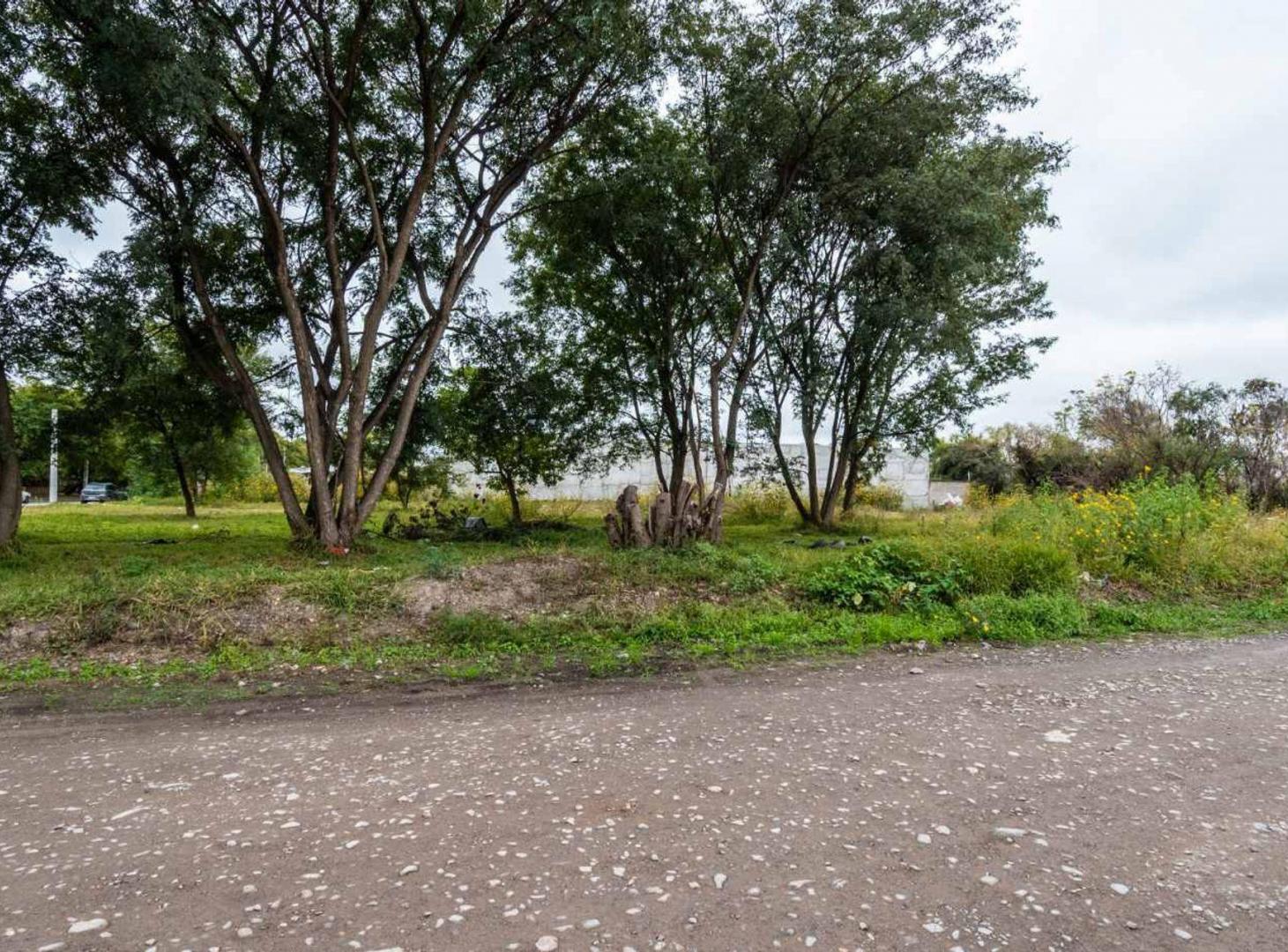 Foto de TERRENO VENTA ESQUINA ZONA SUR APTO GALPON 3384M2, imagen 4