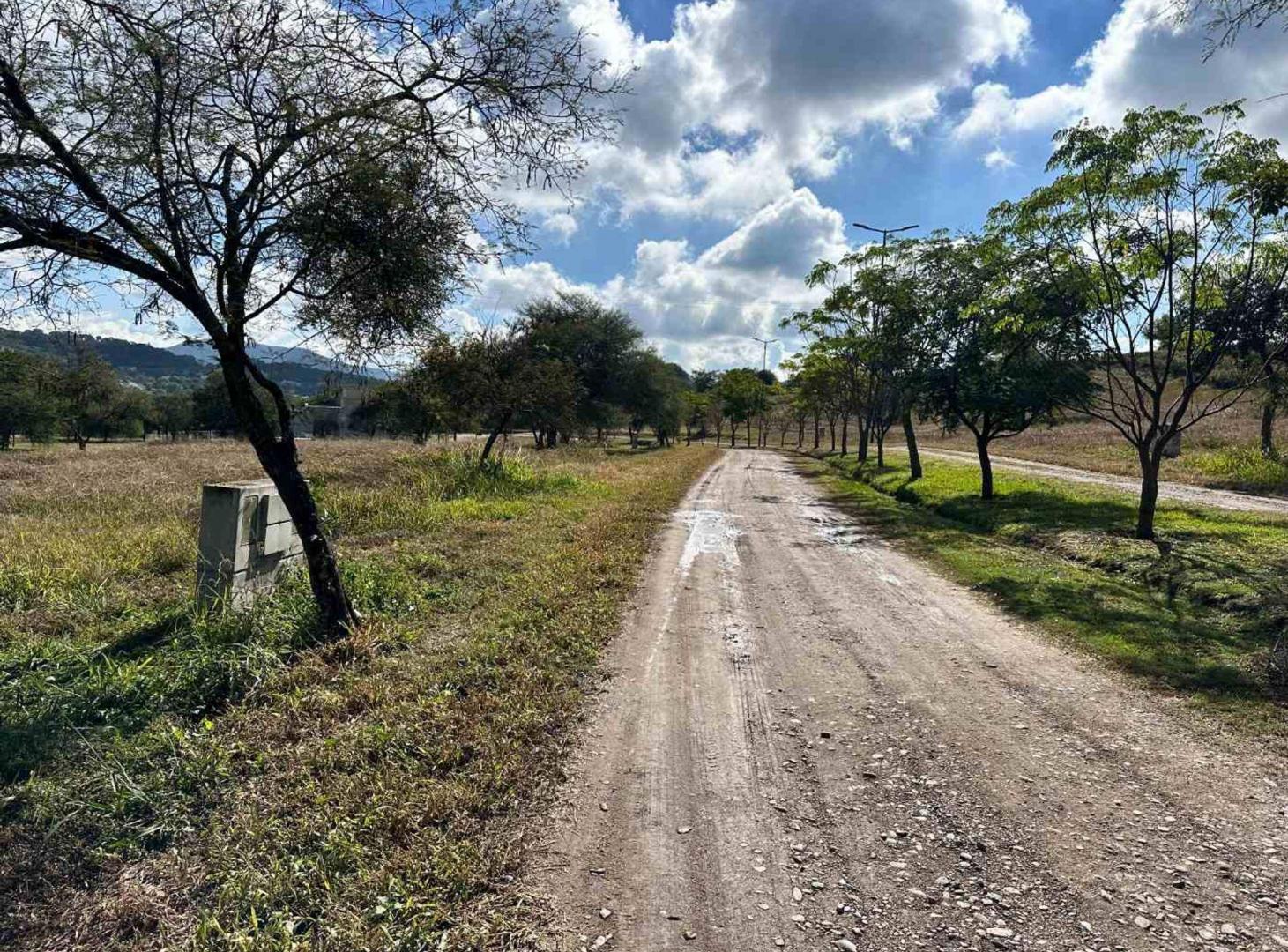 Foto de TERRENO VENTA LAS CAÑADAS ACCESO A SALTA RP 9, imagen 3