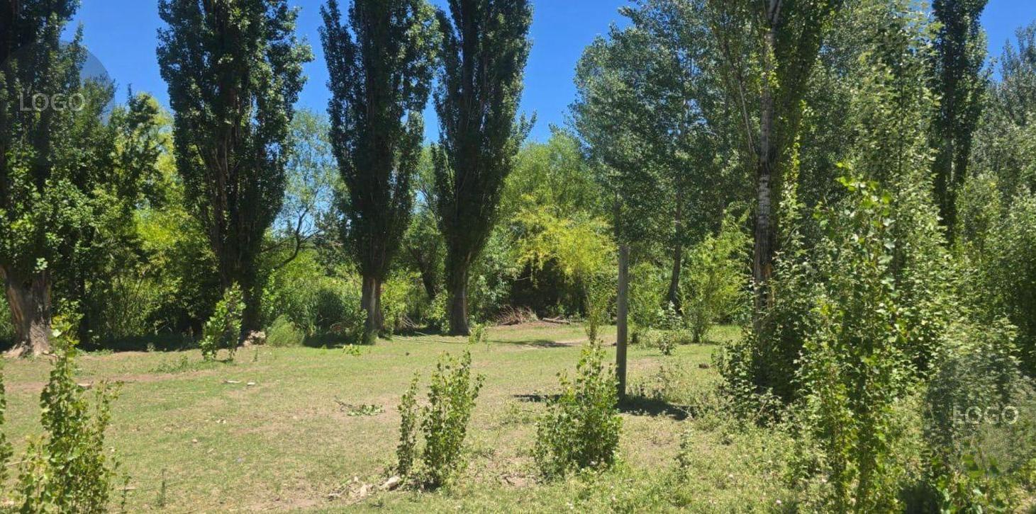 Foto de En Venta | Chacra de 7,85 Hectáreas con Potencial Inmobiliario |, imagen 3