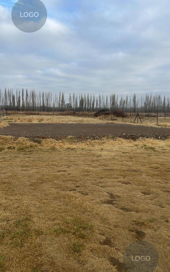 Foto de Terreno en General Fernandez Oro, imagen 4