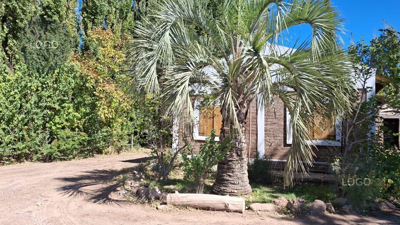 Foto de En Venta | Chacra de 2,7 Hectáreas con 3 Casas | Límite Neuquén |, imagen 4