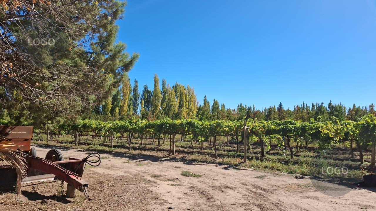 Foto de En Venta | Chacra de 2,7 Hectáreas con 3 Casas | Límite Neuquén |, imagen 1