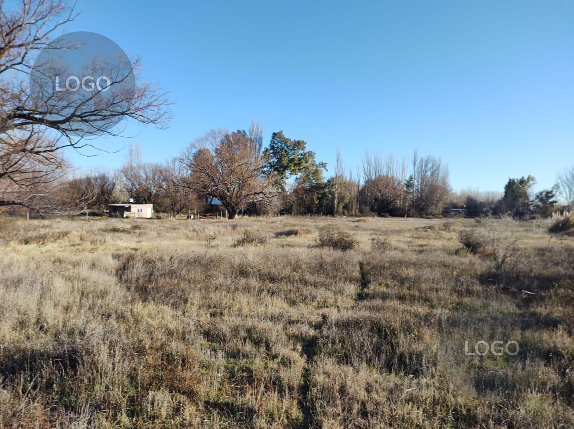 Foto de En Venta | Chacra de 1,5 Hectáreas Cercana al Río | China Muerta, imagen 5