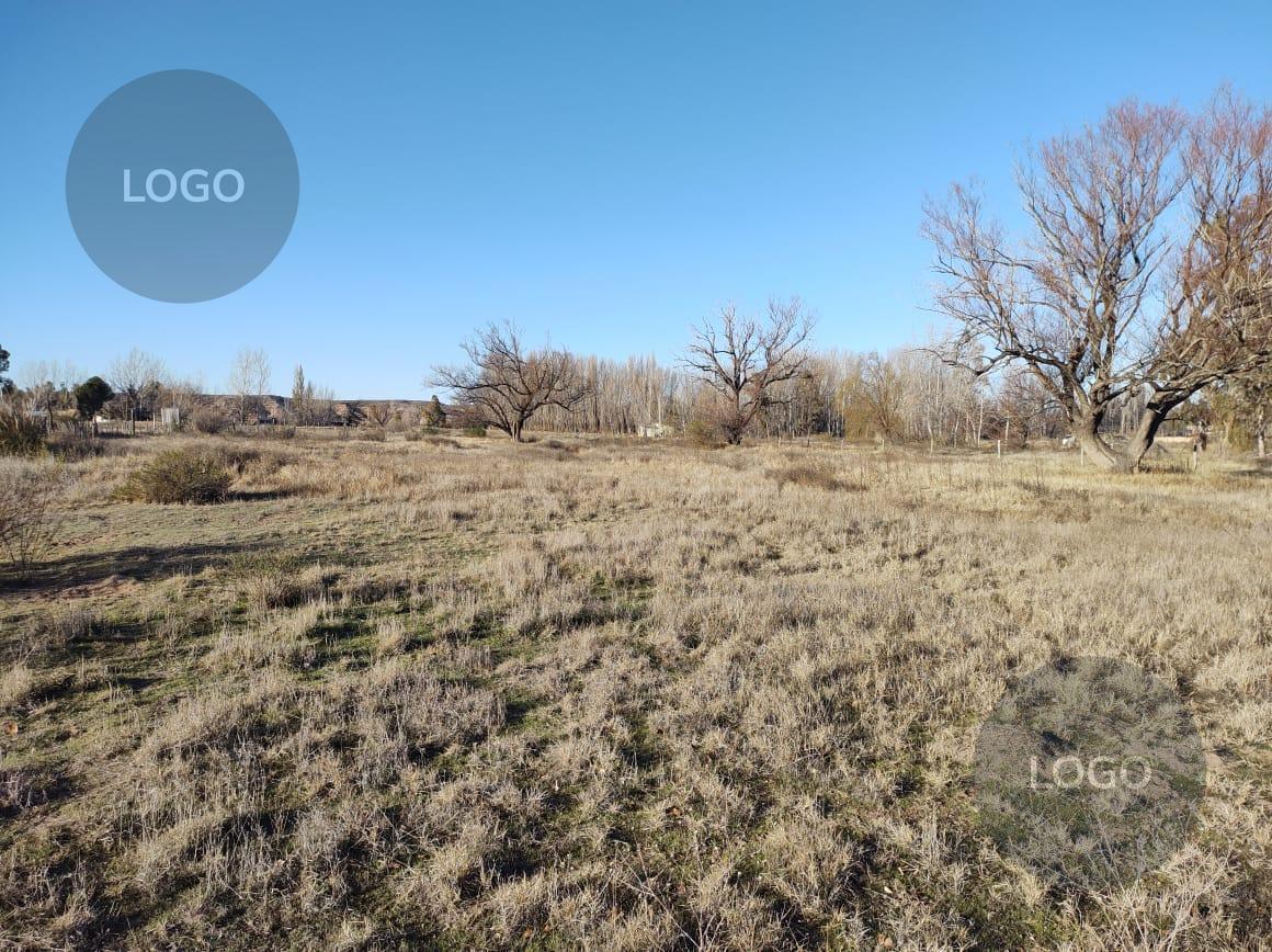 Foto de En Venta | Chacra de 1,5 Hectáreas Cercana al Río | China Muerta, imagen 1