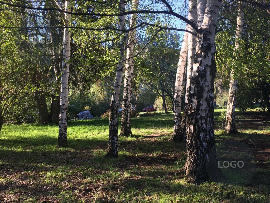 Foto de En Venta | Chacra Productiva y Turística de 7,5 Has con Laguna y 3, imagen 2