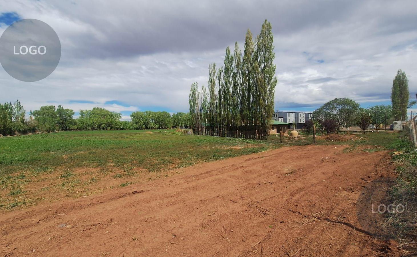 Foto de En venta | Terreno de 2 ha y 2 Viviendas sobre Ruta 17 | Añelo, Neuquén, imagen 4