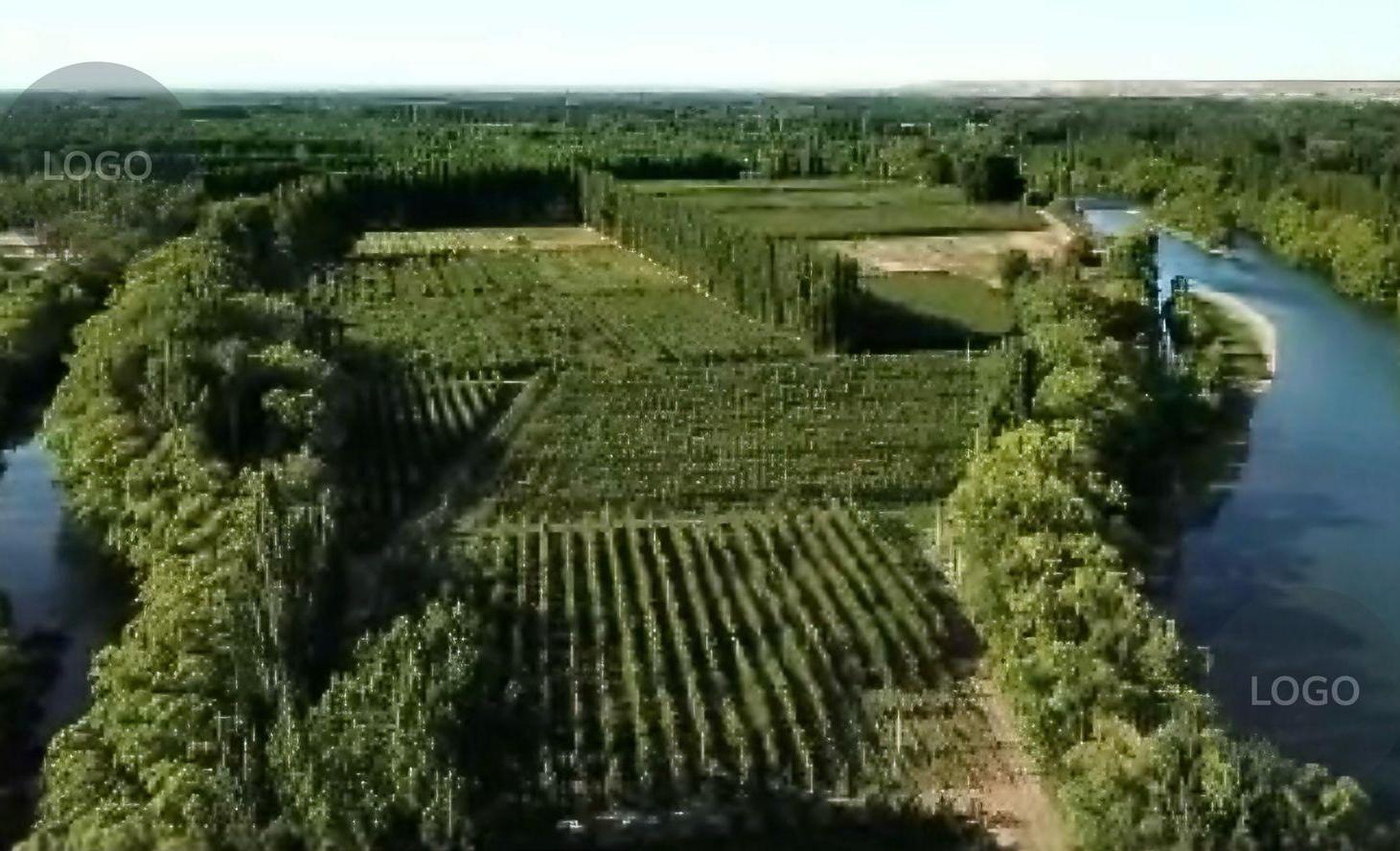 Foto de En Venta | Chacra de 65 ha en Isla Adelina | Centenario, Neuquén, imagen 1