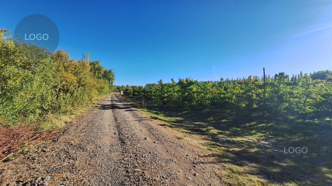 Foto de En Venta | Chacra de 65 ha en Isla Adelina | Centenario, Neuquén, imagen 2