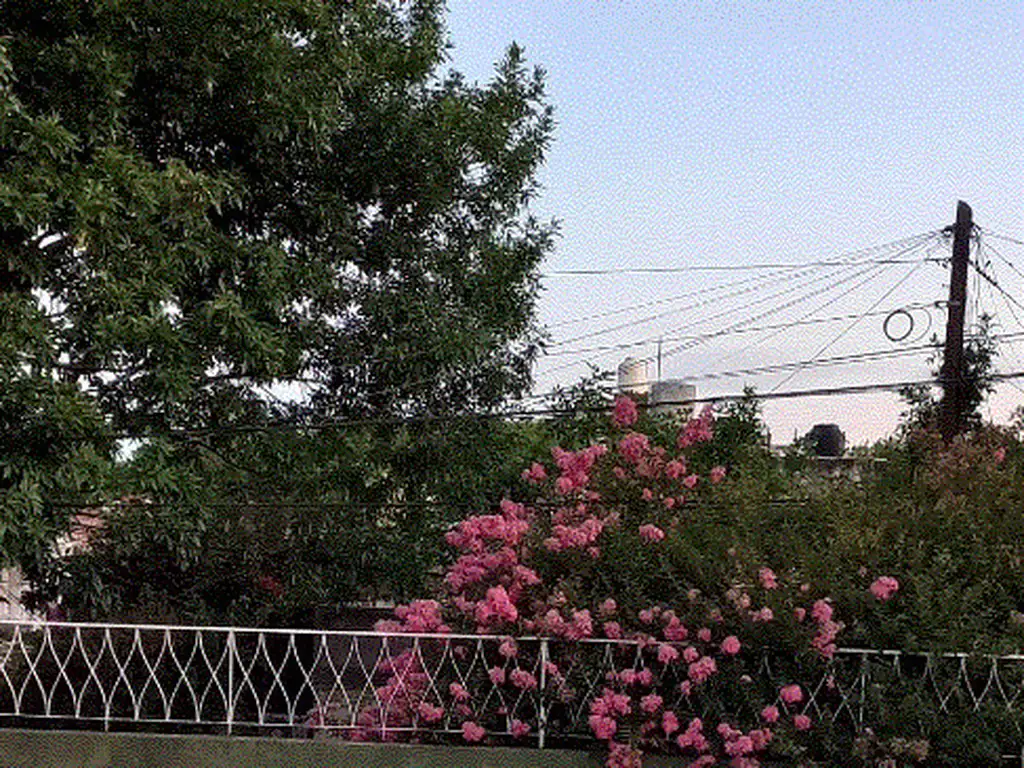 Foto de casa con local y garaje, imagen 4