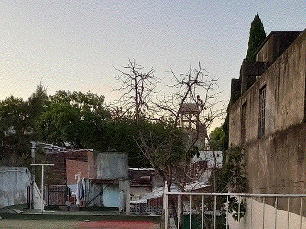 Foto de casa con local y garaje, imagen 3