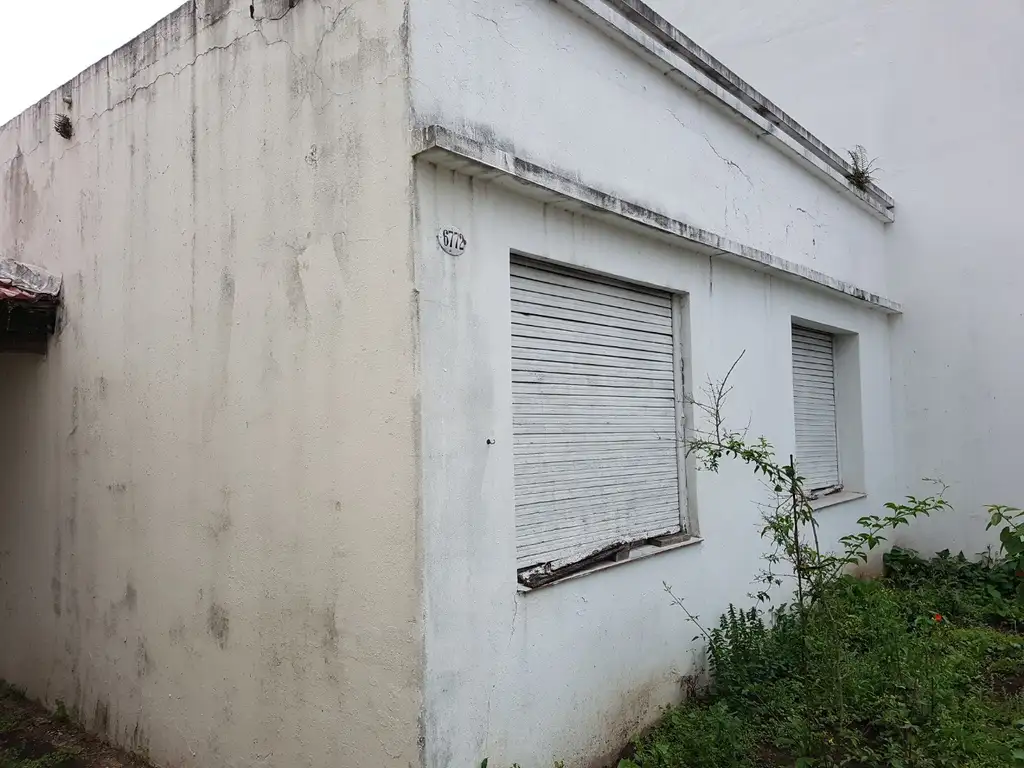 Foto de TERRENO, imagen 3