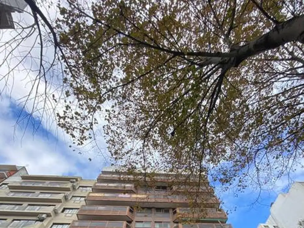 Foto de Departamento - Macrocentro, imagen 1