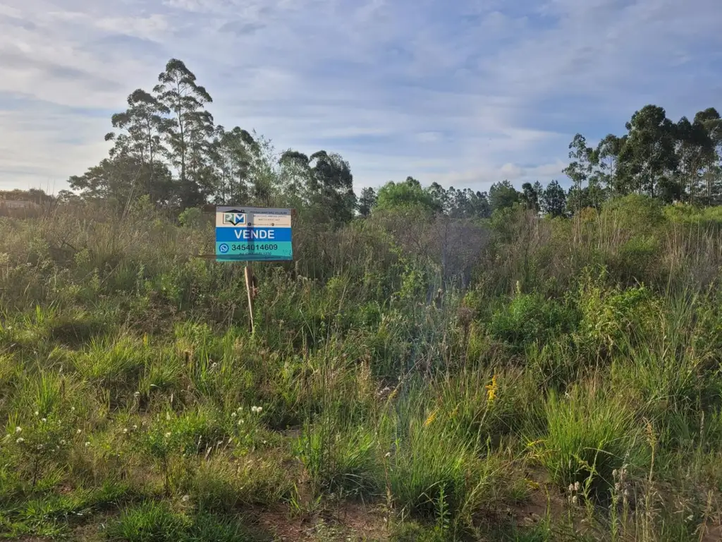 Foto de Lote en venta en Federación, Entre Ríos, imagen 4