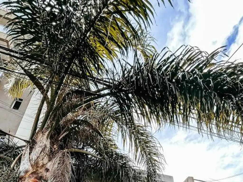 Foto de PISO CON LOCAL EN VILLA LURO, imagen 1