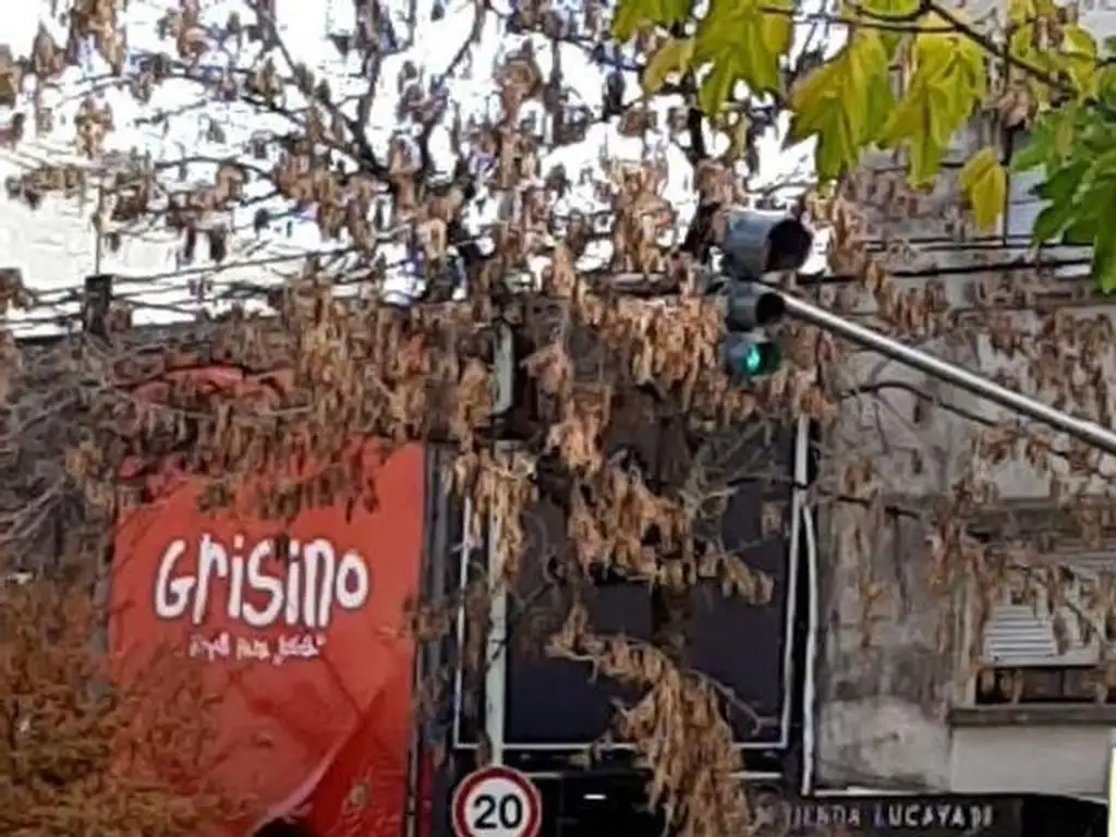 Foto de Venta de Local Comercial en Aguirre 700 Almagro, imagen 4