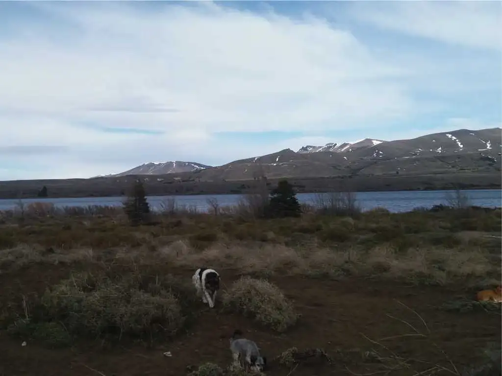 Foto de Lote de 1322 m2 frente al Lago Huechulafquen y con vista al Volcán, imagen 4