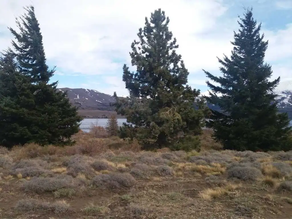 Foto de Lote de 1322 m2 frente al Lago Huechulafquen y con vista al Volcán, imagen 2