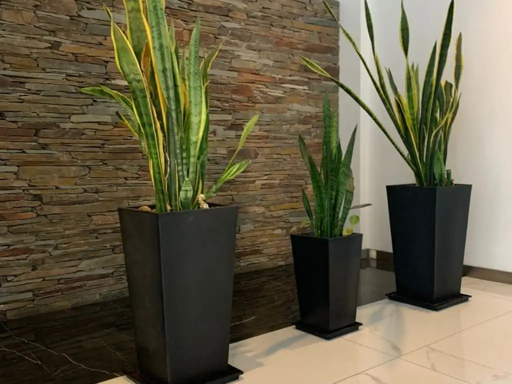 Foto de DEPARTAMENT0 A LA VENTA EN VILLA LURO, imagen 1