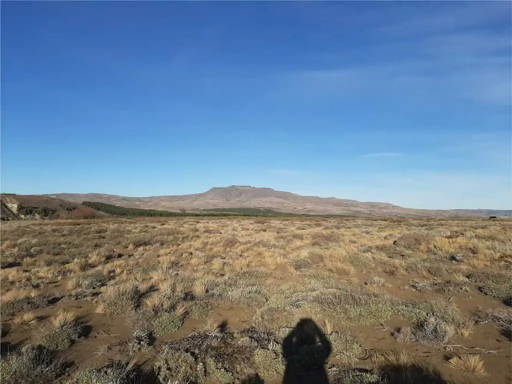 Foto de Lote de 5400 m2 en Lago Huechulafquen - Junín de los Andes, imagen 1