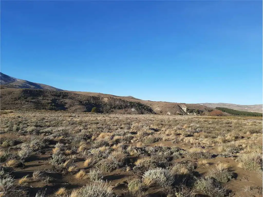 Foto de Lote de 5400 m2 en Lago Huechulafquen - Junín de los Andes, imagen 3